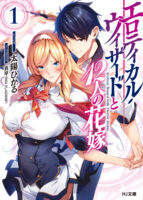Erotical Wizard and 12 Brides Cover